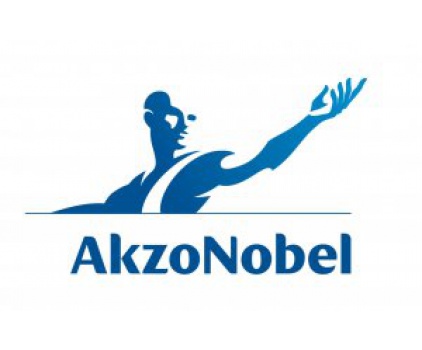 Akzo Nobel İso 9001 İngilizce